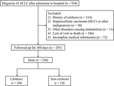 Skeletal muscle mass index as a predictor of long-term cirrhosis onset in young non-cirrhotic males with acute-on-chronic liver failure